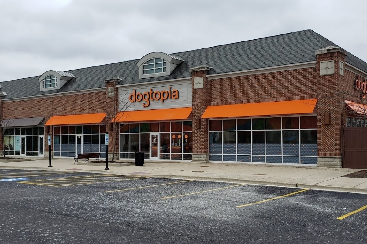 Dogtopia Construction by Xanadu Builders